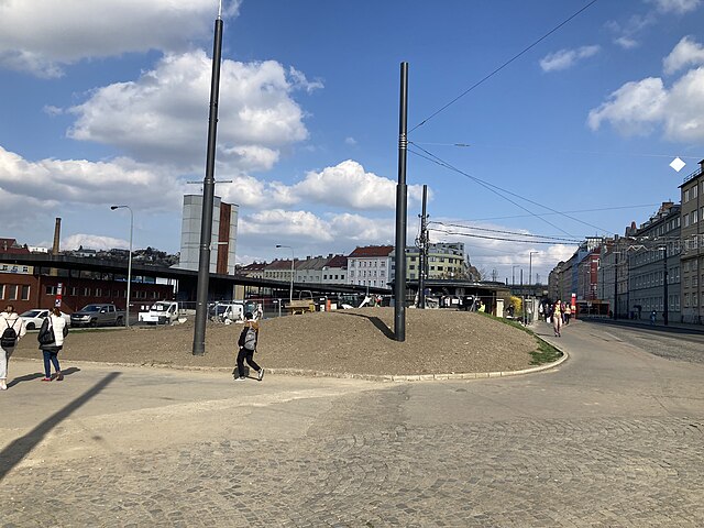 Palmovka jako gordický uzel